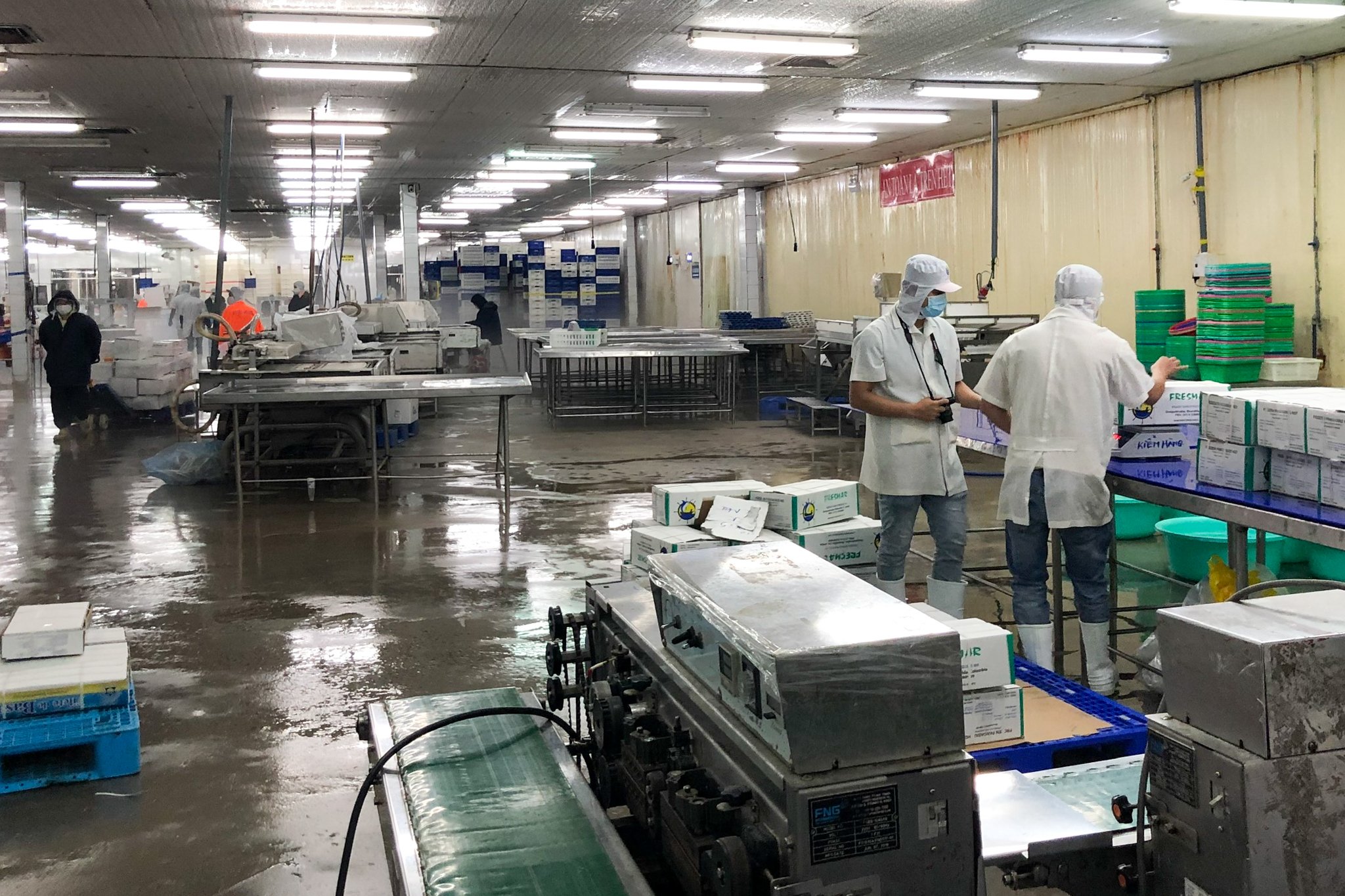 Tổ công tác 970 Bộ Nông nghiệp: Nông sản các tỉnh phía Nam đang cần hỗ trợ đầu ra